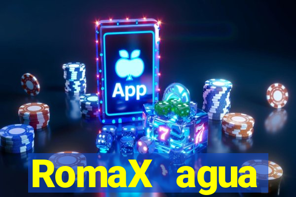 RomaX agua sanitaria fispq agua sanitaria romax